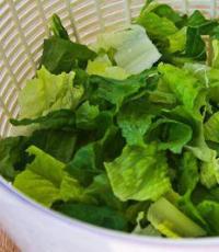 Salate de salată verde - din ce să alegi