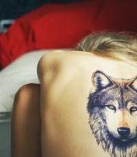 Mit jelent a farkas tetoválás a vállán?