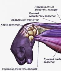 Stanozolol pentru culturism