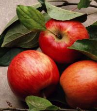 Nedvesített alma: a szeretett gyümölcs zberigaєmo élvezete és kukorica ereje